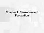 Figure 4.1 The distinction between sensation and