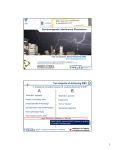 1 Electromagnetic Interference Phenomena Two Aspects of