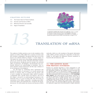 TRANSLATION OF mRNA - E-Learning/An