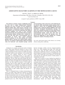 Cibarial pump reflex and olfactory learning