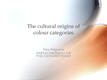 The cultural origins of colour categories