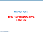 ch_27_lecture_outline_b
