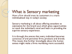 What is Sensory marketing