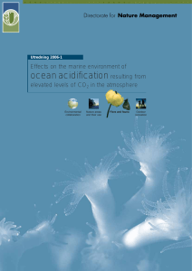 ocean acidification resulting from