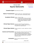 Equine Salmonella Fact Sheet - OSU Environmental Health and Safety