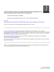 Analyses of Mutants of Three Genes that Influence Root Hair