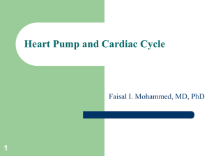 Heart Pump and Cardiac Cycle