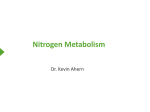 Nitrogen Metabolism - Oregon State University