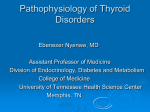 Pathophysiology of Thyroid Disorders