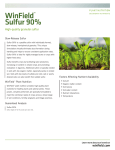 High-quality Granular sulfur