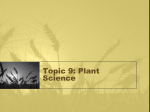 plant science