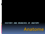 History and branches of Anatomy