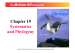 Chapter 19 Systematics and Phylogeny