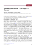 Chapter 30. Autophagy in Cardiac Physiology and Disease