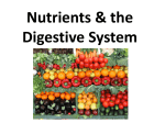 Nutrients - SBI3URHKing