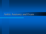 Ankle Anatomy and Exam