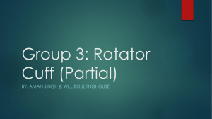 to see the ppt on rotator cuffs - Aman Singh`s LSA Web Portfolio