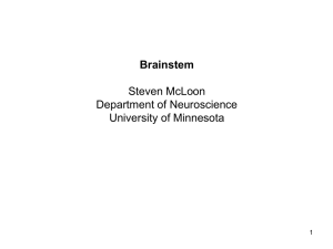 lecture 12 - McLoon Lab - University of Minnesota