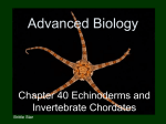 Advanced Biology