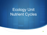 Nutrient Cycles