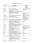 Biochemistry Vocab Key