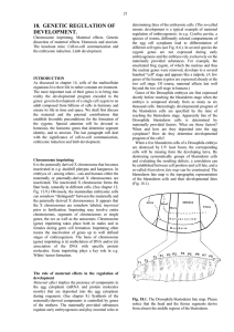 18. GENETIC REGULATION OF DEVELOPMENT.