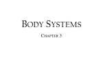 Body Systems - St. Ambrose School