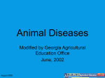 AG-ASB-02.421-18.1P Animal_Diseases