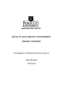 project report