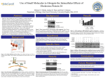 Ebola Virus Protein 24 Interactions with Phosphorylated STAT1