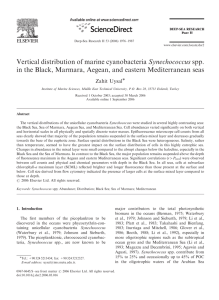 Vertical distribution of marine cyanobacteria