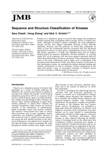 Sequence and Structure Classification of Kinases