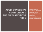ADULT CONGENITAL HEART DISEASE: THE ELEPHANT IN THE