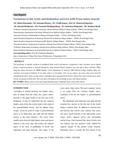 Variations in the cystic and iliolumbar arteries with Psoas