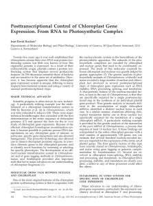 Posttranscriptional Control of Chloroplast Gene Expression