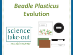 Beadle - Science Take-Out