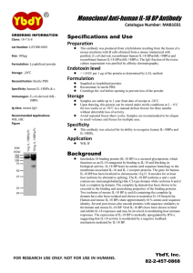 Monoclonal Anti-human IL-18 BP Antibody Catalogue Number