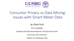 Consumer Privacy vs Data Mining - Issues with Smart Meter Data