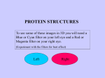 Protein structure - Wikispaces