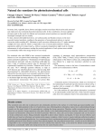 Natural dye senstizers for photoelectrochemical cells