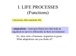I. LIFE FUNCTIONS (Processes)