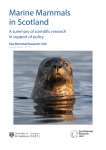 Marine Mammals in Scotland: A summary of scientific research in