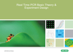 Real-Time PCR Probe Design