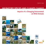 migratory species and climate change