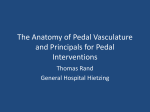 The Anatomy of Pedal Vasculature and Principals for Pedal