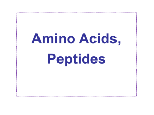 Chemistry 501 Lecture 3 Amino Acids