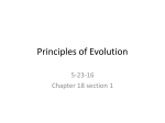 Principles of Evolution