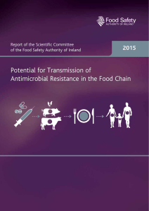 Potential for Transmission of Antimicrobial Resistance in the Food
