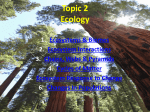 Topic 2 - Ecology