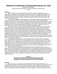 Potential Transmission of Bartonella Species by Ticks Sarah Arnao